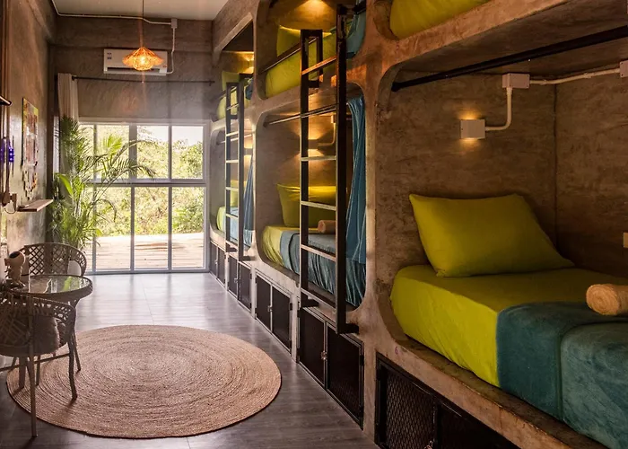 Wonderland JungleHostel